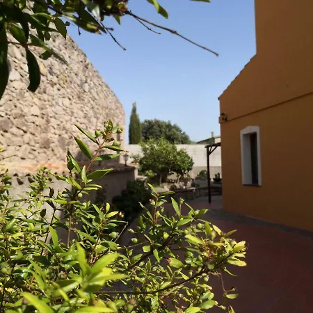 Martina * ساردارا